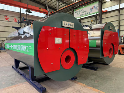 Gas Fired Steam Boiler