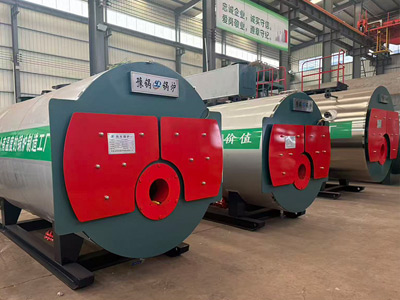 Natural Gas Fired Steam Boiler