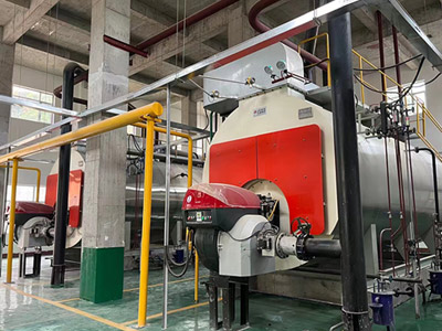 WNS Series Oil Fired Steam Boiler